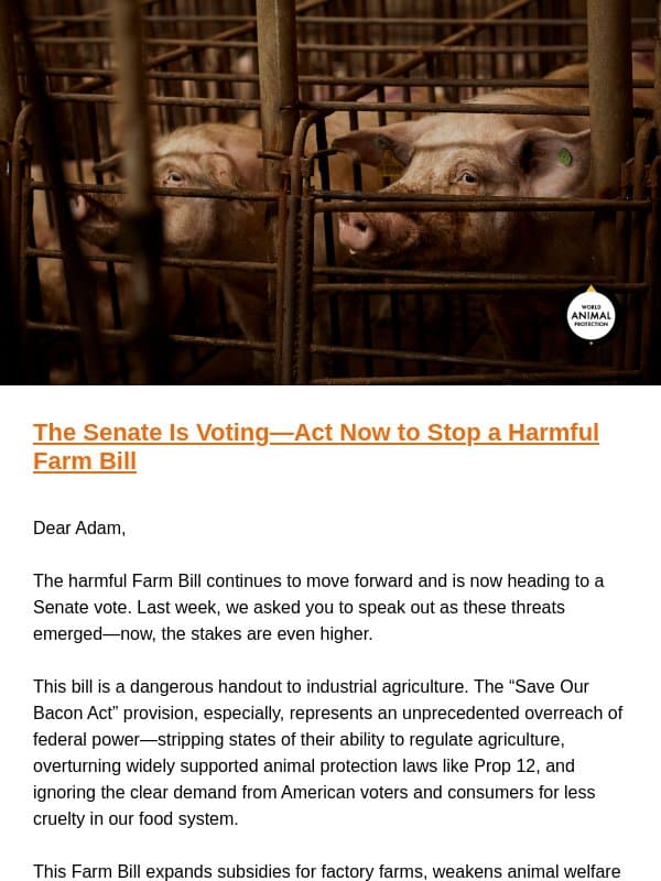 🚨 Urgent: Call Your Senators and Tell Them to Vote NO on the Farm Bill! email from World Animal Protection US
