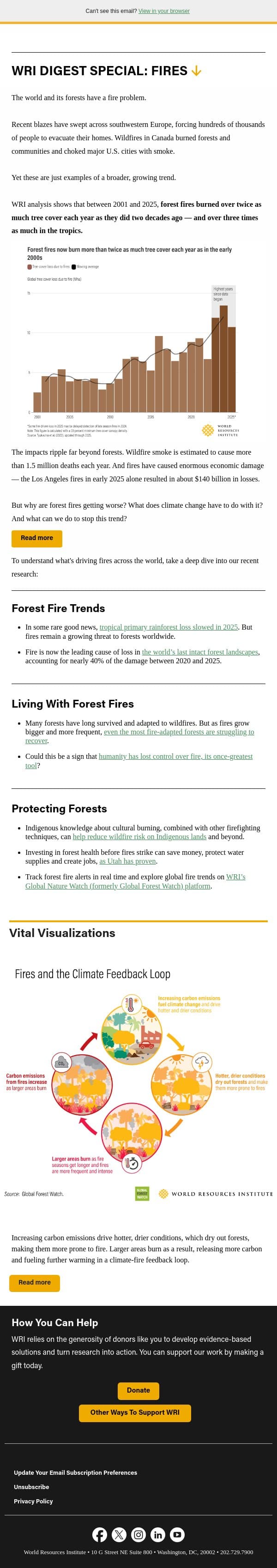 SPECIAL: Fires Deep Dive email from World Resources Institute screenshot