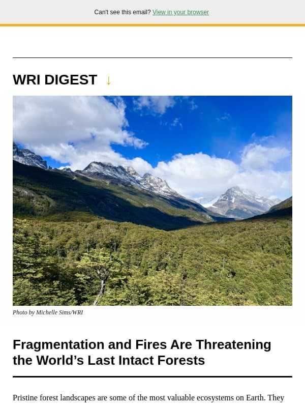 World’s Last Intact Forests email from World Resources Institute