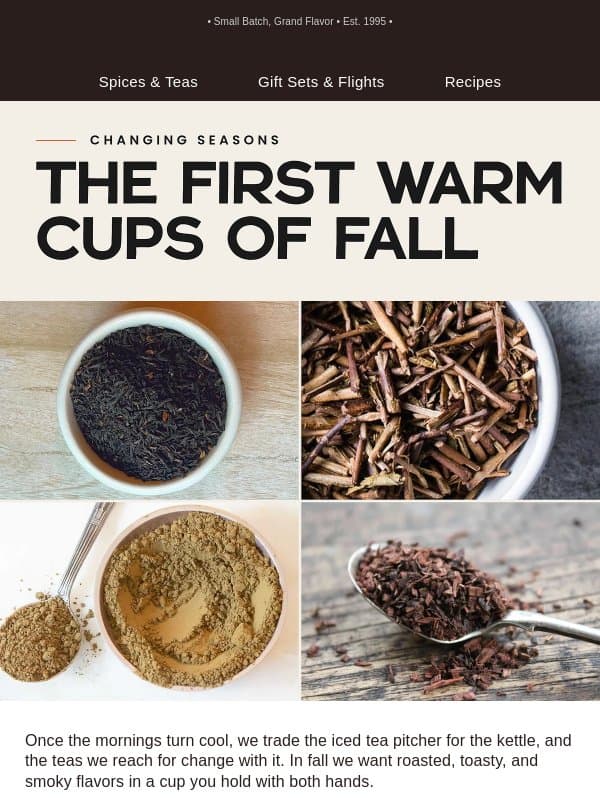 The first warm cups of fall email from World Spice Merchants