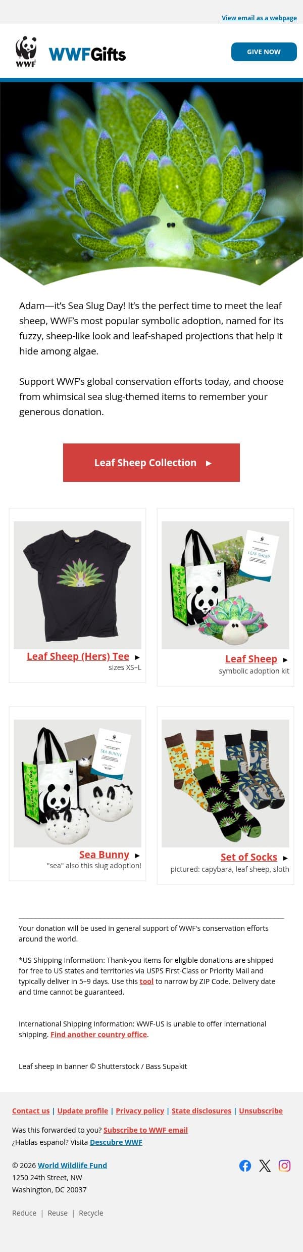 Adam, meet the leaf sheep this Sea Slug Day email from World Wildlife Fund screenshot