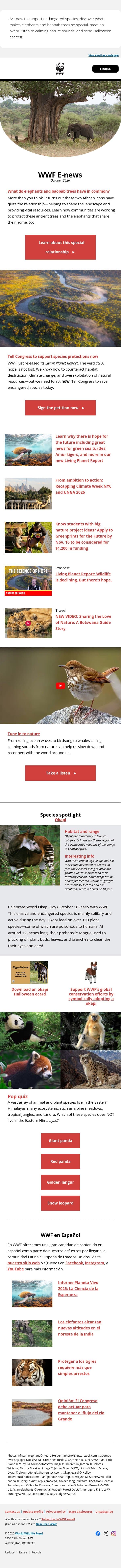 The elephant, the baobab tree, and their ancient relationship email from World Wildlife Fund screenshot