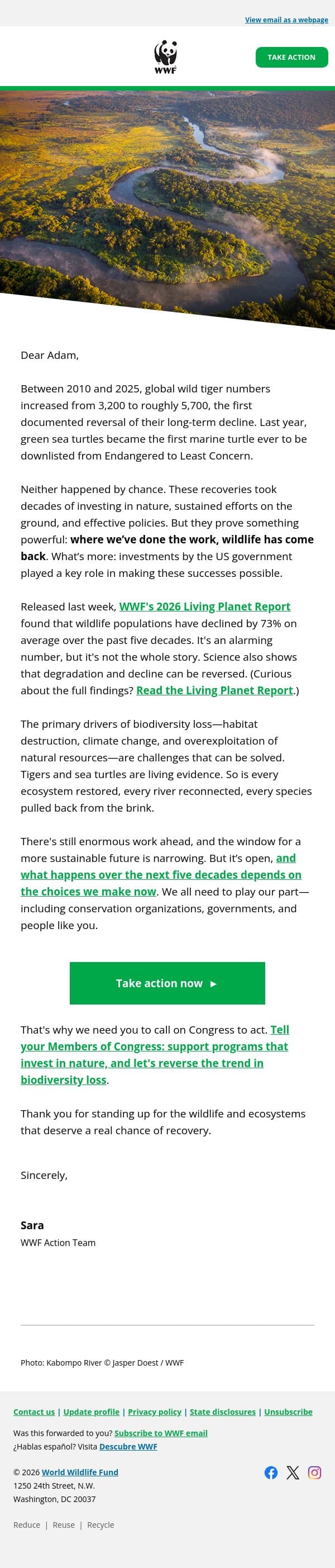 Species recovery is possible. Tigers and turtles have taught us that. email from World Wildlife Fund screenshot