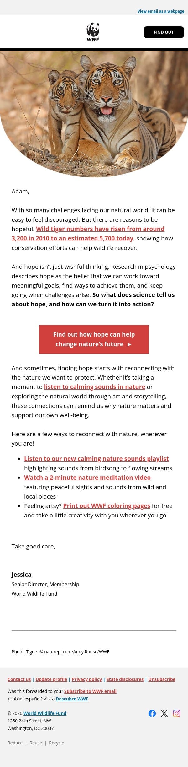 What can 5,700 wild tigers teach us about hope? email from World Wildlife Fund screenshot