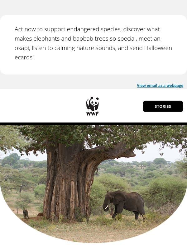 The elephant, the baobab tree, and their ancient relationship email from World Wildlife Fund