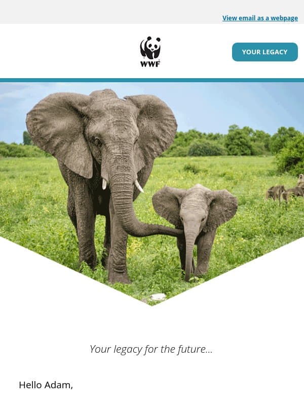 How to protect your loved ones and wildlife email from World Wildlife Fund