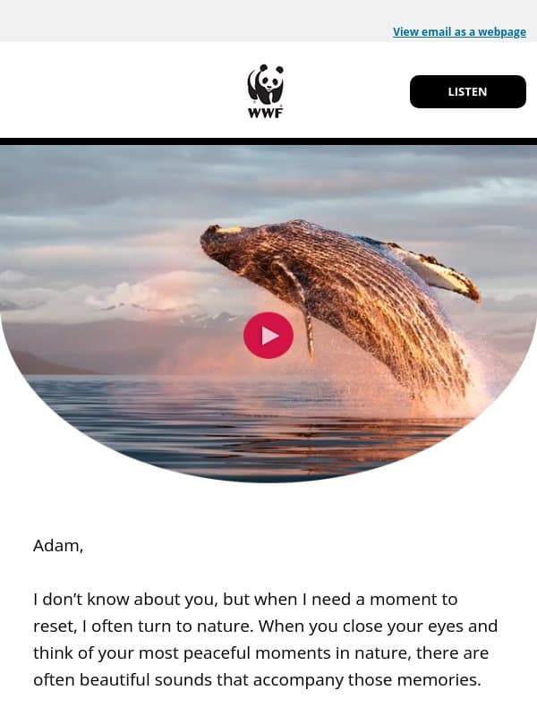 Listen to calming nature sounds ▶️ email from World Wildlife Fund