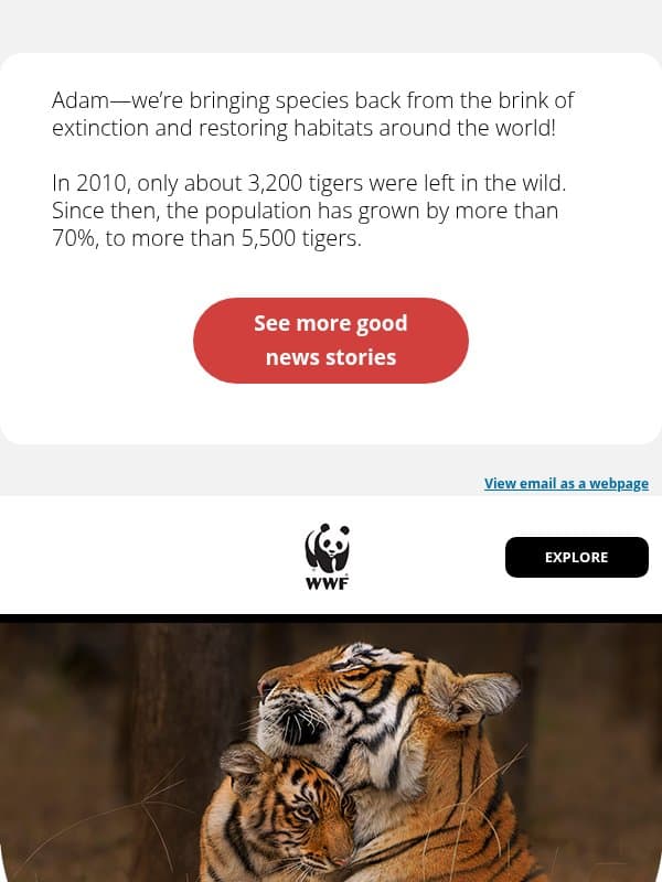 Ready for some good news about wildlife? email from World Wildlife Fund
