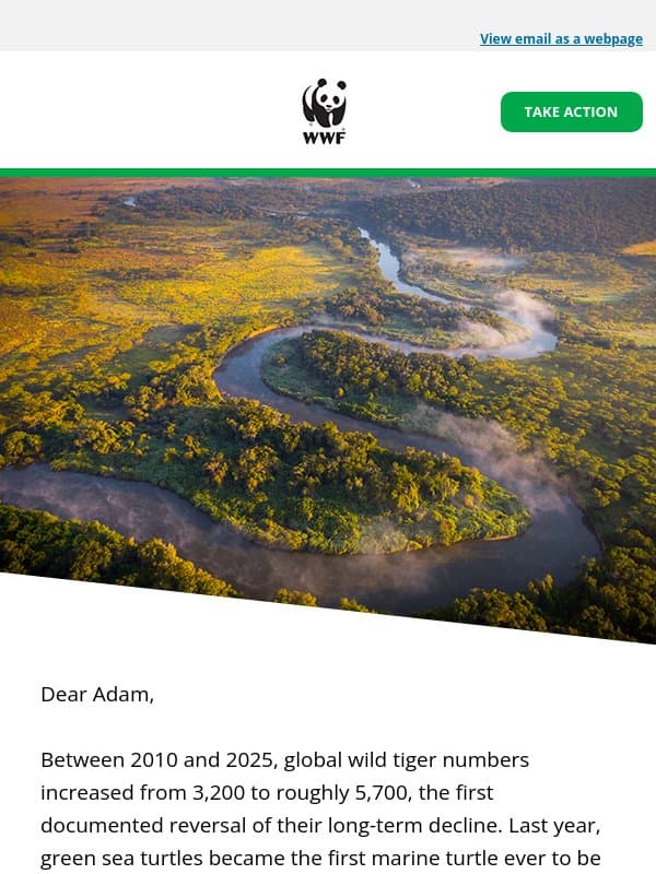 Species recovery is possible. Tigers and turtles have taught us that. email from World Wildlife Fund