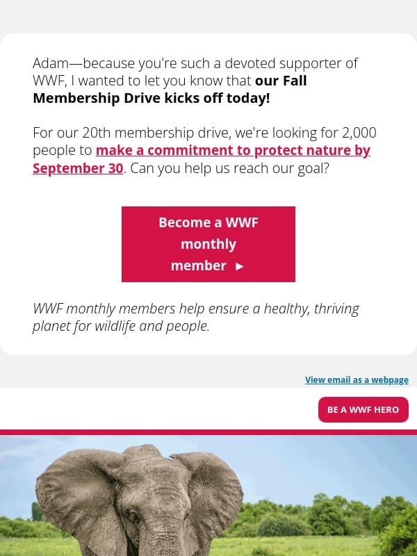 A special invitation for Adam email from World Wildlife Fund