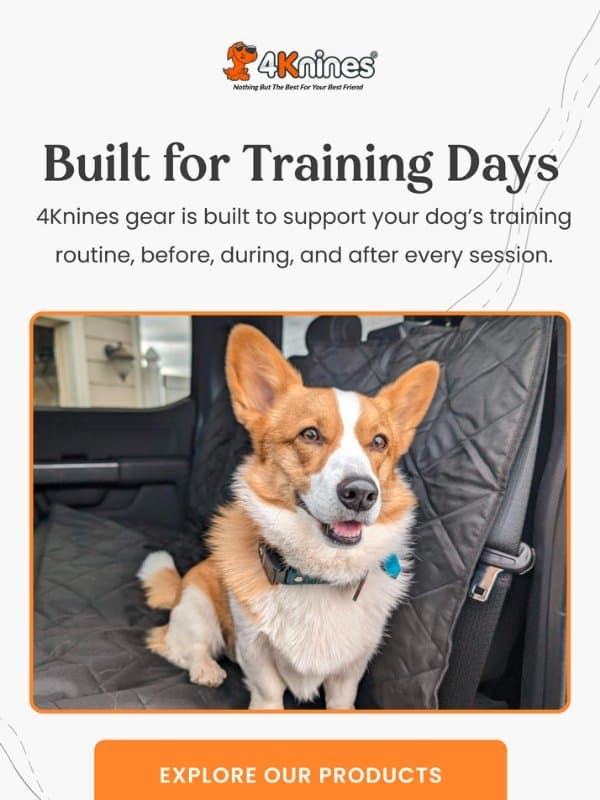 The Everyday Partner Behind Consistent Training email from 4Knines