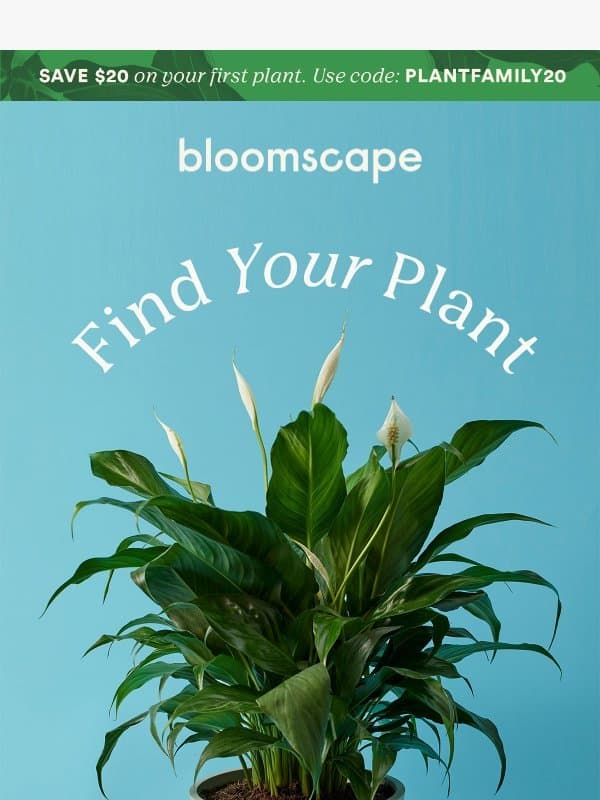 Find Your Plant ๐ชด email from Bloomscape