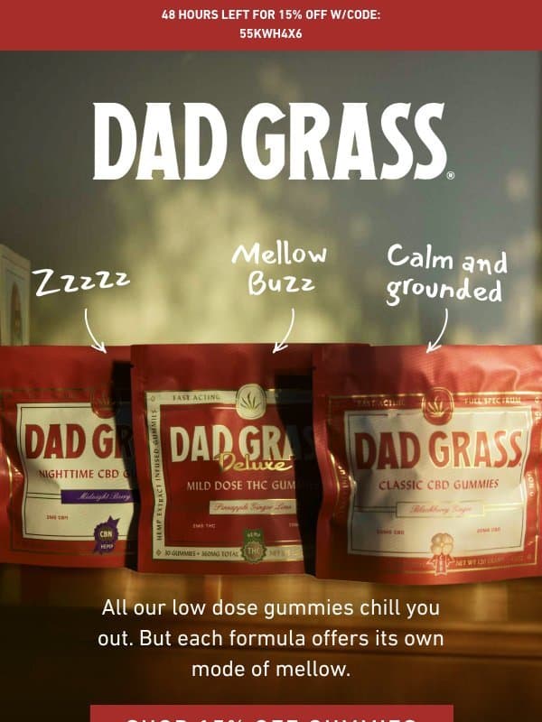 The CBD Gummy Guide email from Dad Grass