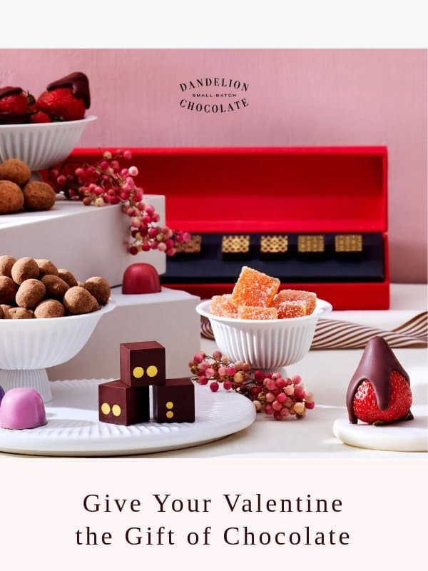 Last-Minute Valentine’s Day Gifts email from Dandelion Chocolate