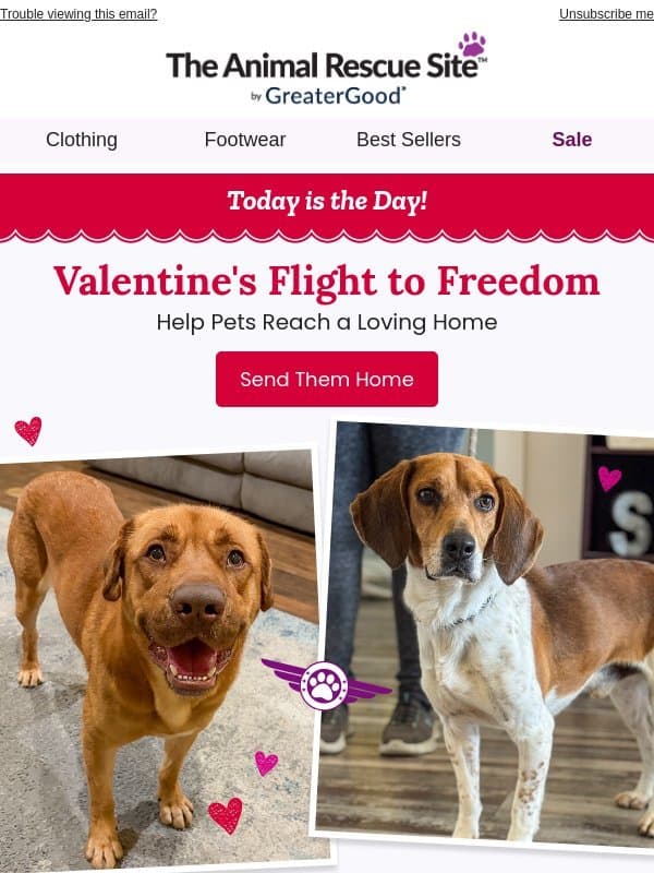 This Flight Leaves Today. Dogs Need You Now. βοΈ πΎπ email from Farmstead