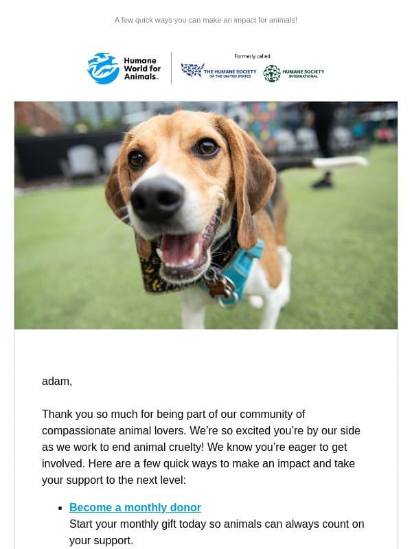 Want to connect? email from Humane World for Animals