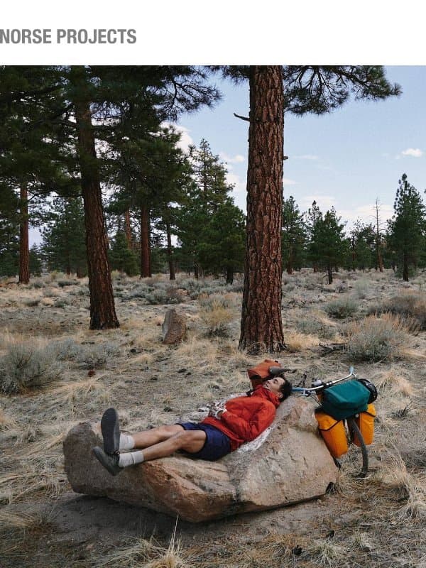 A celebration of place, partnership, and projects email from Norse Projects