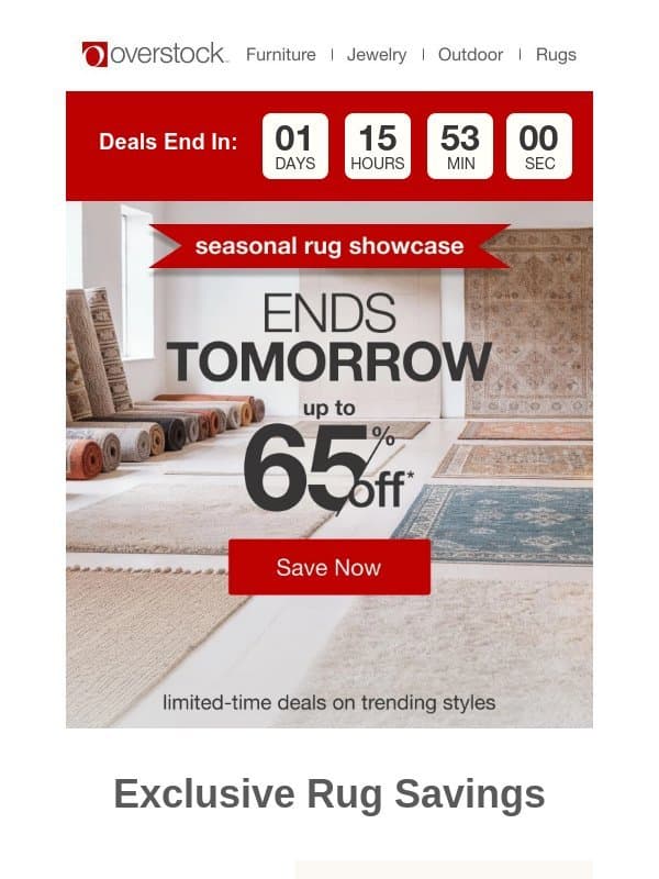 Ends tomorrow: Up to 65% on rugs you’ll love email from Overstock