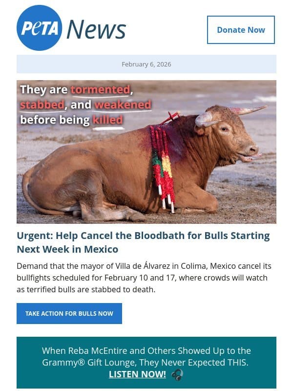 A Bull Stabbing Spectacle Is Only 4 Days Away. email from PETA