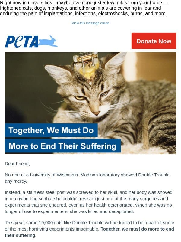 Will you help 18,600 cats? email from PETA