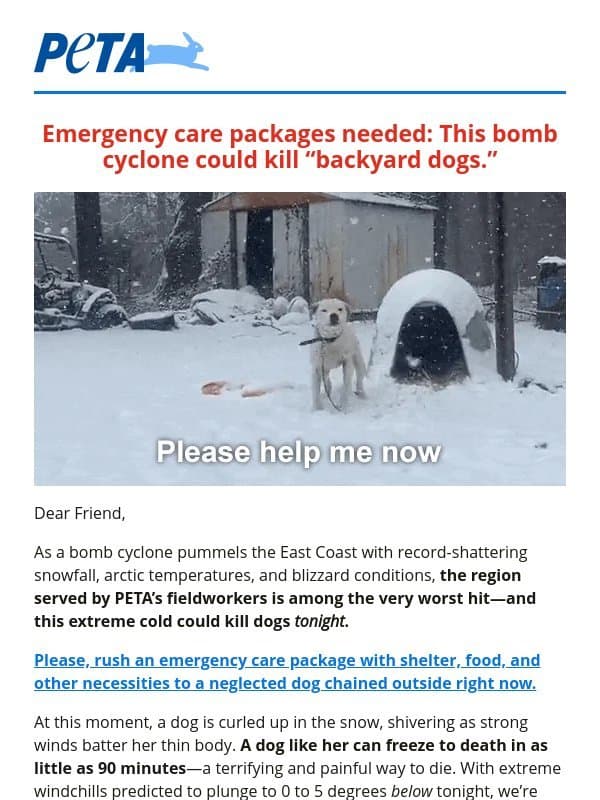🆘 Polar vortex emergency: Don’t let a dog freeze to death 🆘 email from PETA