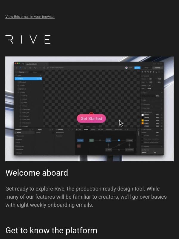 Your Rive starter pack 🎒 email from Rive